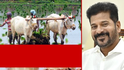 Revanth ప్రభుత్వం రైతులకు గుడ్ న్యూస్.. ఏకకాలంలోనే Rythu Runamafi | Telugu Oneindia