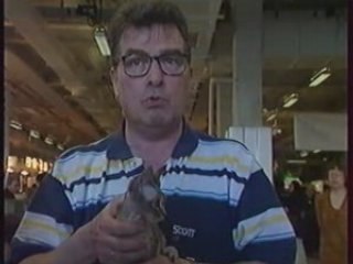 Pour l'Amour des Chats  11