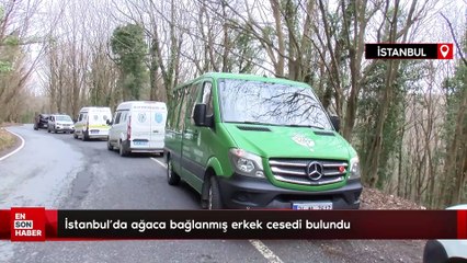 İstanbul'da ağaca bağlanmış erkek cesedi bulundu