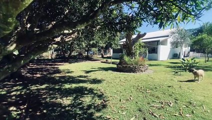 A vendre Villa à Plum - Une Opportunité Unique avec Nestenn Nouméa