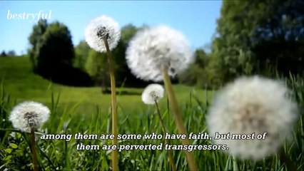 the most soothing quran recitation __new voice__ really amazing with english translation