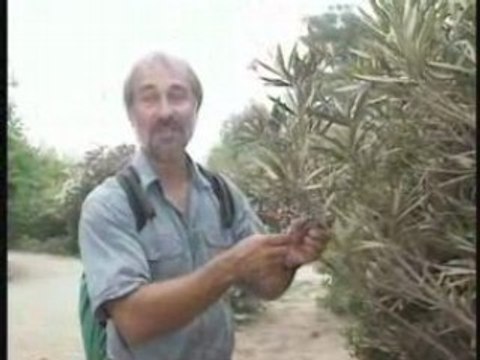 Provence, Cote d'Azur : 4 randonnees