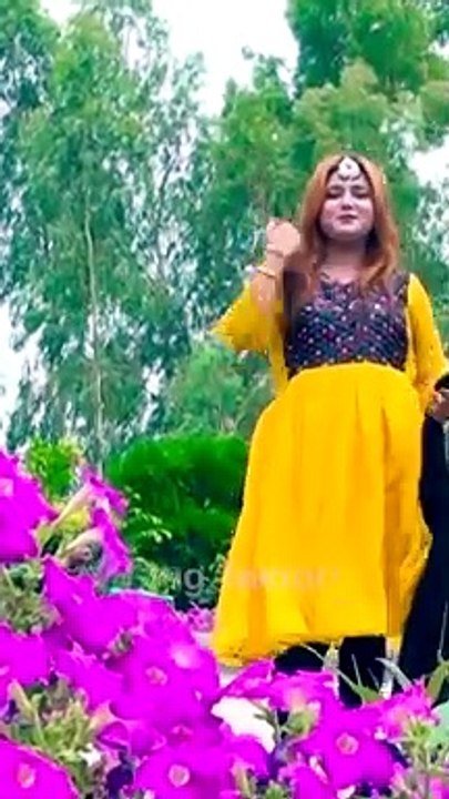 Pashto Best Dance | Pashto Song | Shorts - video Dailymotion