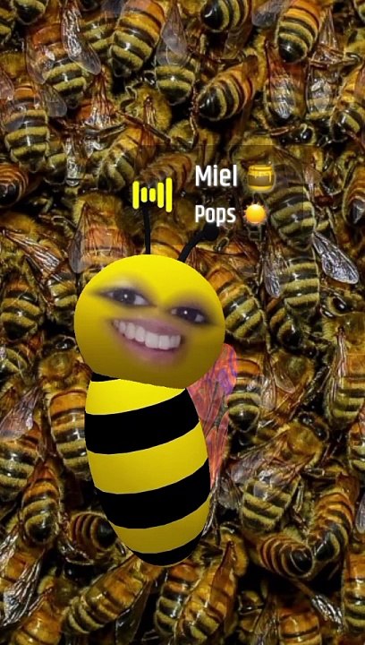 Miammiam drôle