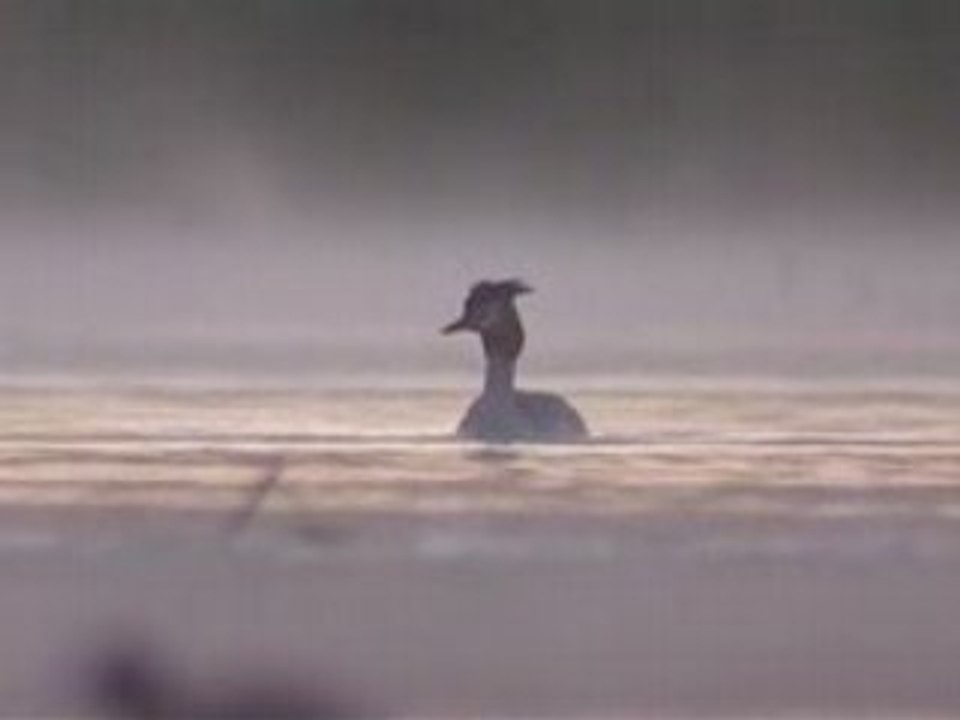 Quatre Saisons en Brenne