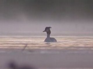 Quatre Saisons en Brenne