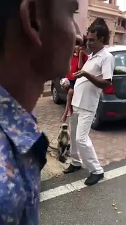 PAPA MAA