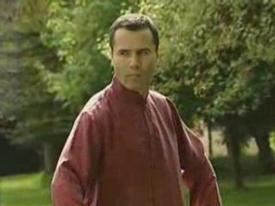 Qi gong - Les 8 pieces de brocart et les 5 animaux