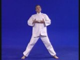 Qi Gong : Techniques Secretes de Shaolin