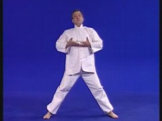 Qi Gong : Techniques Secretes de Shaolin