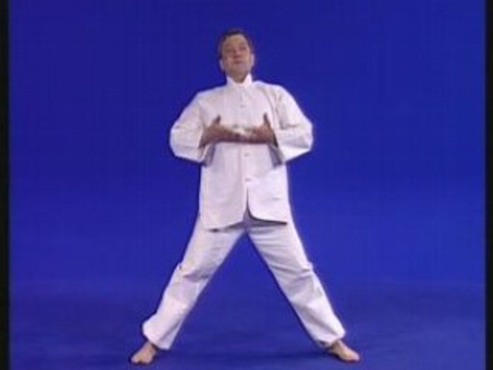 Qi Gong : Techniques Secretes de Shaolin