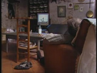 Quand le chat n'est pas la...