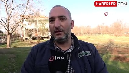 Horozun 'Anne' diye bağırması sahibini şaşırttı