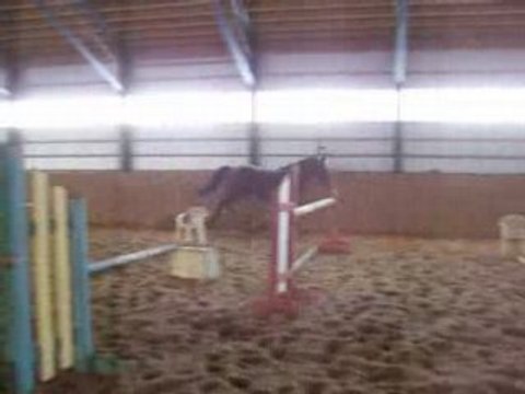 Aramisse des Pins petit 4,9 pieds, 2 avril 2008