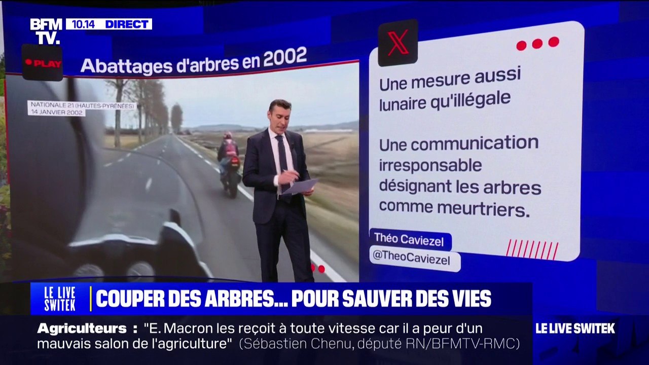 Le conseil départemental de la Haute-Marne a pris la décision de raser des milliers d'arbres au bord des routes pour plus de sécurité