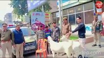 वीडियो: सफेद बकरी चोरी का मामला, टीम ने इस प्रकार किया घटना का खुलासा