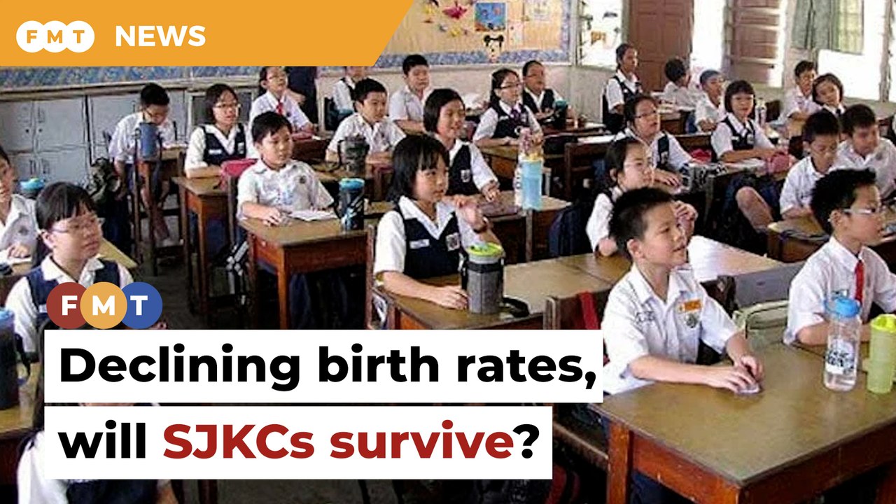 Will Chinese schools survive declining birth rates, MP asks