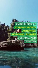 Navigating Workers' Compensation An Employee’s Guide