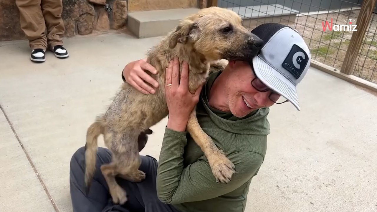 Elle arrive trop tard pour le check-in de l'hôtel et réalise qu'elle n'est pas seule dans la nuit noire (vidéo)