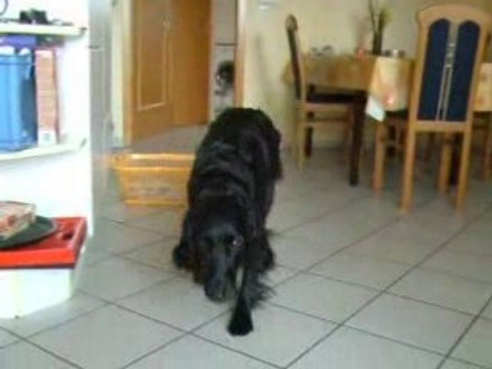 Dara bringt die Wäsche in den Wäschekorb