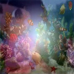 Dora The Explorer S01E18 Bugga Bugga