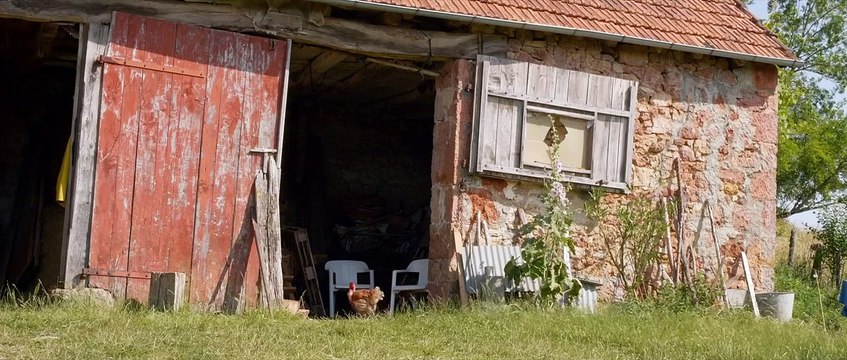 Vendeur de rêves : L'affaire Generación Zoe Bande-annonce VO STEN