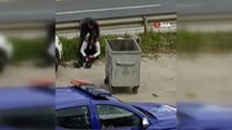 Alkollü kadın çöp konteynerine girmeye çalıştı!