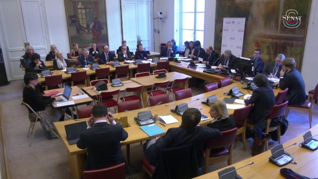 Inscription de l'IVG dans la Constitution: suivez l'audition d'Éric Dupond-Moretti au Sénat