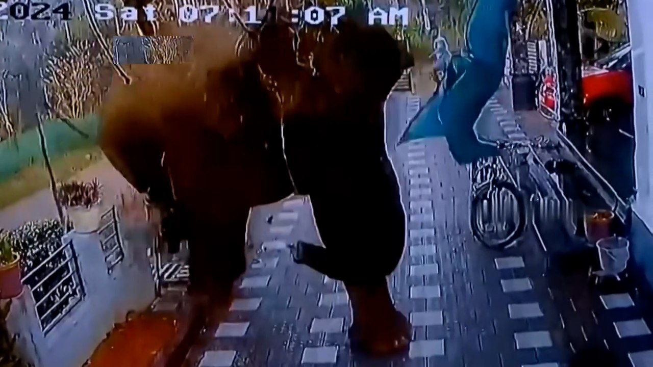 Inde : un éléphant piétine un homme à mort
