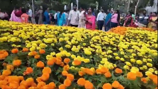 फूलों की महक से गुलजार सेमोझी उद्यान, पुष्प प्रदर्शनी कर रही आकर्षित