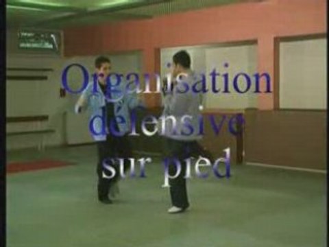 Savate Defense : Techniques avancees