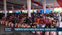 Bansos Sebabkan Pasokan Beras di Yogyakarta Menurun