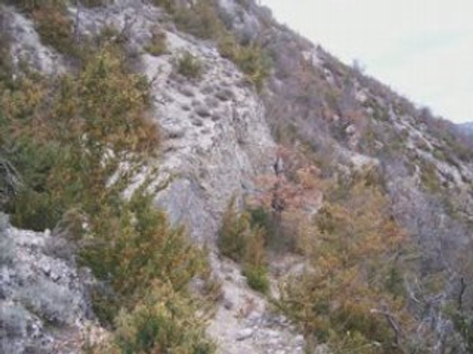 Chapelle des Sadous