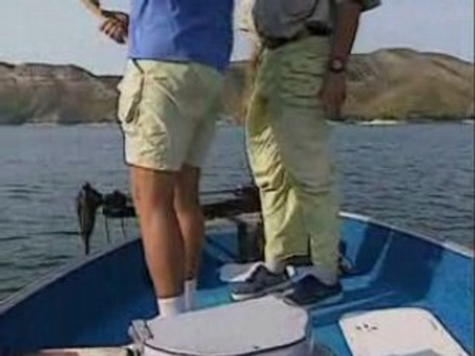 Sandres Black Bass et Silures