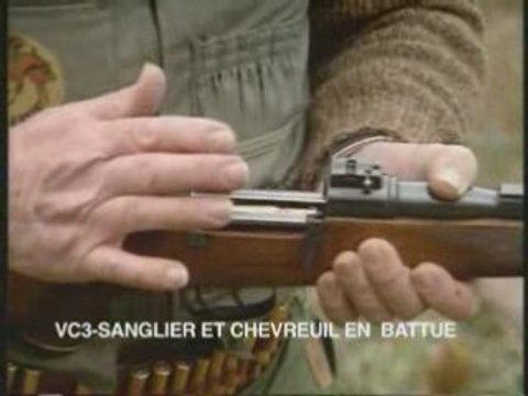Sanglier et chevreuil en battue