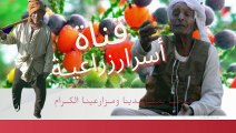 أسرار مانجو ناعومي: زيارة مزارعى صعيد مصر إلى مزرعة الإسماعيلية المثالية