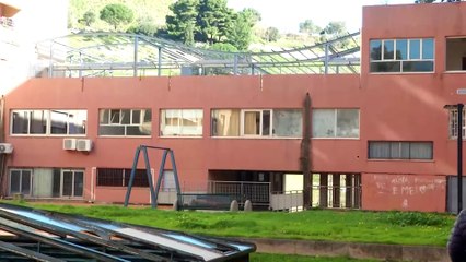 Rtp Telegiornale 12 febbraio 2024