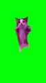 happy happy cat green screen meme template #memes #trending #viral #cat