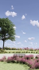 Pantani, videointervista al sindaco di Cesenatico: "Una piazza per Marco"