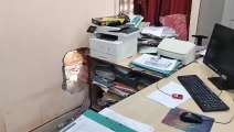 पंजाब नेशनल बैंक में चोरी का प्रयास