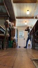 Baby Goat Frolics Around House