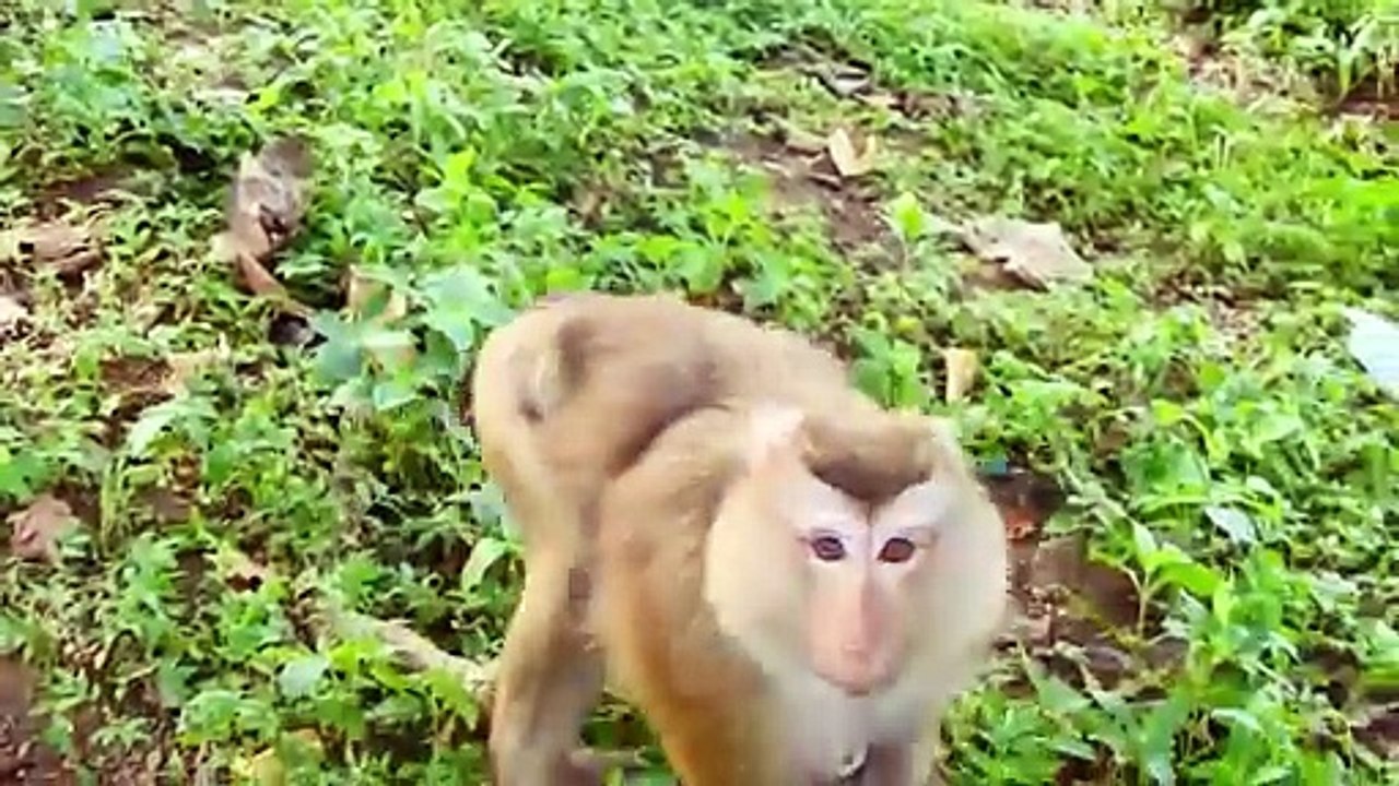 SASHA Mother Make Child SACKY Cries Loudly (720p_25fps_H264-192kbit_AAC)