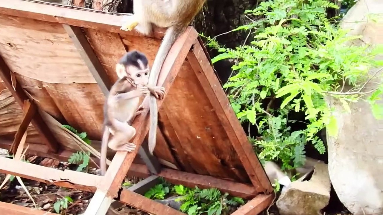 Sasha Mom Is NOT Kind, That NEVER Share the Meal to Her Poorest SACKY Child, Eating Lonely (720p_25fps_H264-192kbit_AAC)