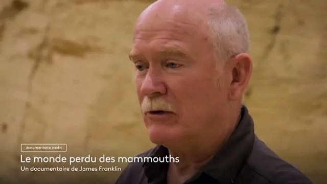 Le mystérieux tigre à dents de sabre - 15 février