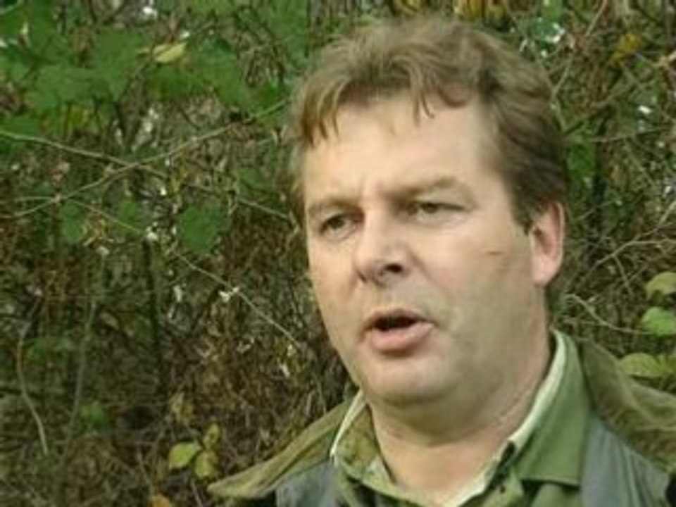 Sanglier - 2 : partie 1