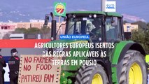 Agricultores europeus isentos das regras aplicáveis às terras em pousio