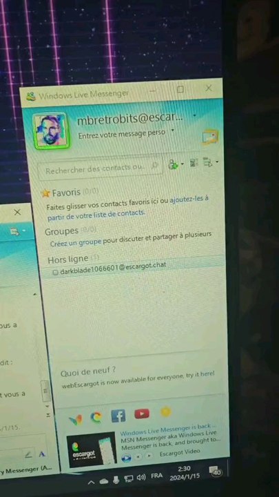 Windows Live Messenger en 2024 via escargots