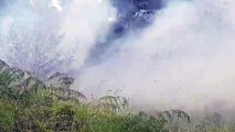 Bombeiros combatem grande incêndio em vegetação na marginal da BR-277 em Cascavel