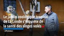 Le Jardin zoologique tropical de La Londe s’inquiète de la santé des singes volés