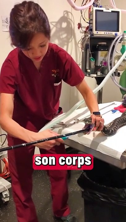Ce serpent avait vraiment besoin d'aide !